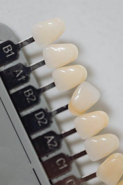 How Much Do Veneers Cost? A Guide for Pinehurst Residents